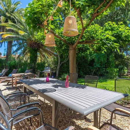 Strelitzia Avec Piscine Feriehus *